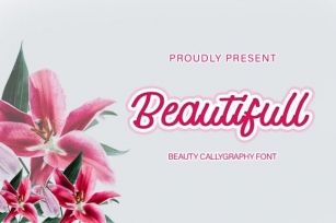 Beautifull Font Download