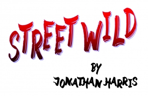 Street Wild Font Download