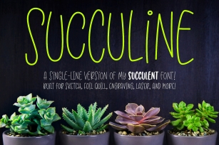 SuccuLine - single-line hairline version of Succulent font! Font Download