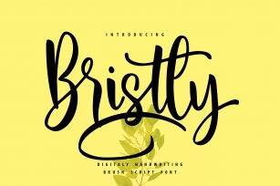 Bristly | Handwriting Brush Script Font Font Download