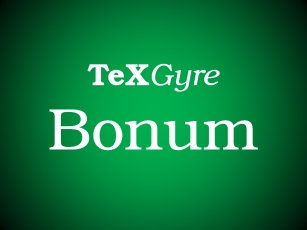 TeX Gyre Bonum Font Download
