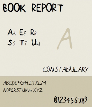 Book Report NBP Font Download