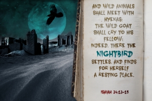 Nightbird Font Download
