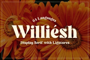 Williesh Font Download