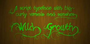 Wild Growth Font Download