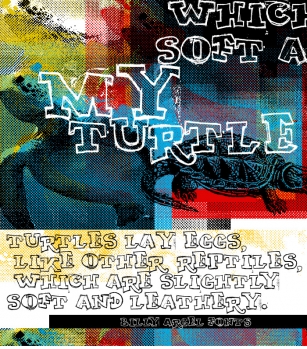 MY TURTLE Font Download