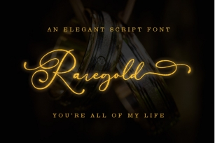 Raregold || Elegant Script Font Download