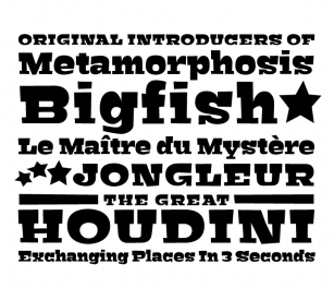 Bigfish Font Download
