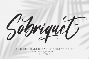 Sobriquet - Modern Calligraphy Font Font Download