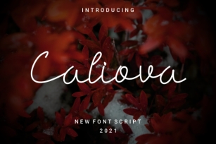 Caliova Font Download