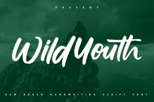 Wildyouth Font Download