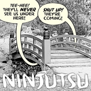 Ninjutsu BB Font Download