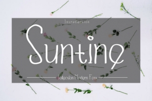 Suntine Font Download