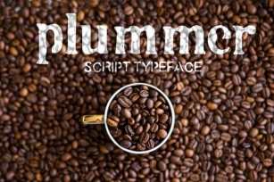 Plummer Script Typeface Font Download