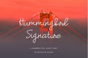 Hummingbird - A Handwritten Script Font Font Download
