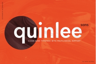 Quinlee - Versatile Sans Serif Font Font Download