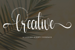Creative - Modern Script Font Font Download