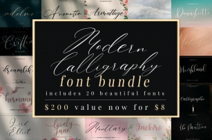 Modern Calligraphy Font Bundle Font Download