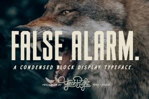 False Alarm Typeface Font Download
