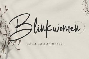 Blinkwomen Modern Signature Font Font Download