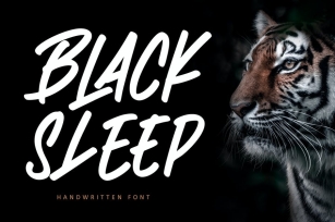 Black Sleep Advertisement Font Font Download
