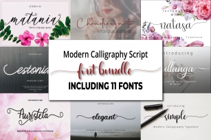 Modern Calligraphy bundle Font Download
