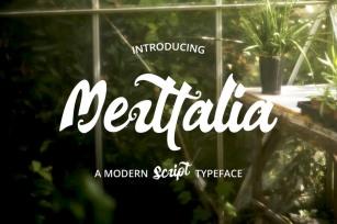 Merttalia Modern Script Font Font Download