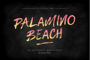 Palamino Beach brush font Font Download