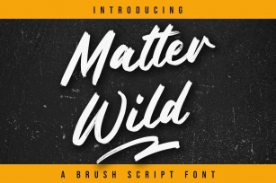 Matter Wild Font Download
