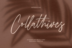 Collathives Signature Brush Font Font Download