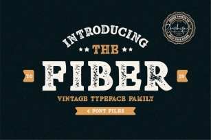 Fiber - Vintage Serif Font Font Download