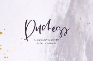 Duchess Signature Script Font Download