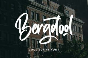 Bergdool - Handwritten Font Font Download