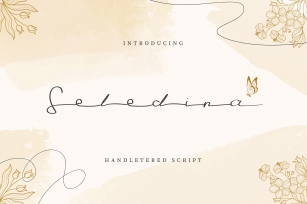 Seledina Font Download