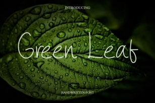 Green Leaf Font Download
