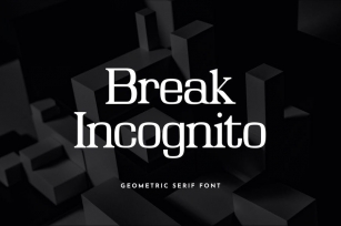 Break Incognito Serif Font Font Download