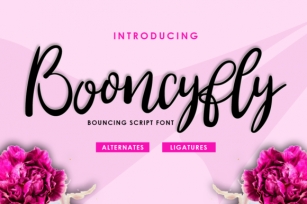 Booncyfly Font Download