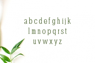 Darrion Slab Serif Font Family Font Download