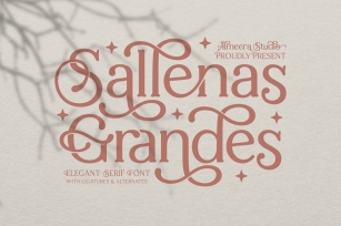 Sallenas Grandes|Elegant Serif Font Font Download