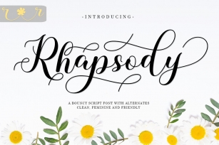 Rhapsody Script Font Download