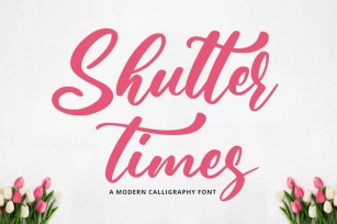 Shutter Times - Elegant Font Font Download