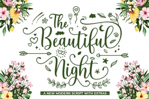 The Beautiful Night Script With Extras Font Download