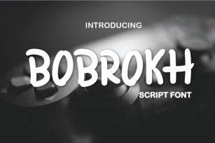Bobrokh Font Download