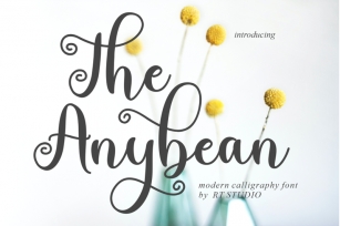 The Anybean Font Download