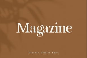 Magazine Family Font Font Download