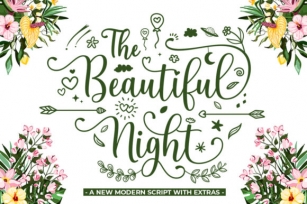 The Beautiful Night Font Download