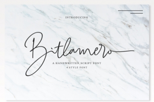 4 Style Font - Bitlamero Script Font Download