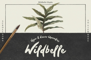 Wildbelle Font Font Download