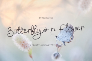 Butterfly N Flower Font Download