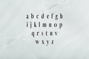 Hadwin A Serif Font Family Font Download